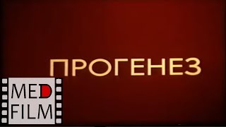 Прогенез (Сперматогенез И Овогенез) © Progenesis (Spermatogenesis And Ovogenesis)