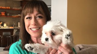 Paige Davis Returns to Host Trading Spaces! Watch Her Special Message to Fans
