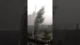 Сильный шквалистый ветер в Казахстане