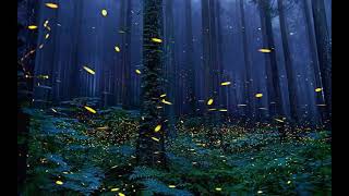 Download Lagu Caribbean Blue Remaster HQ Sound 432hz MP3