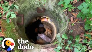 Guy Comforts The Terrified Dog He Rescued | The Dodo