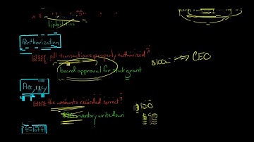 Assertions about Classes of Transactions and Events (Auditing)