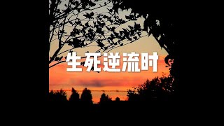 201903 生死逆流时50233