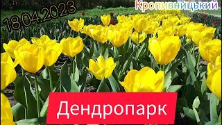 Дендропарк. Кропивницький 18.04.2023