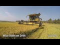 RICE HARVEST 2016 in North West ITALY - The Best of RB74ify