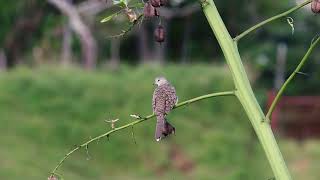 13 de octubre de 2022