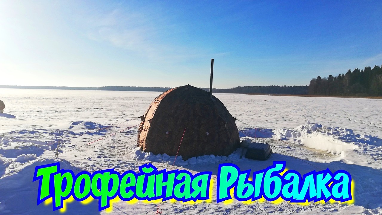 Трофейная рыбалка