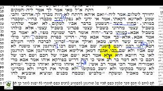 הכנה לבגרות בגמרא: מסכת קידושין דף לא עמוד ב 2 - קריאה בגמרא - עוד על כיבוד הורים שלב ראשון