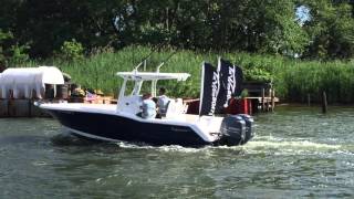 IMG 4258