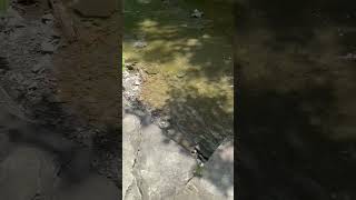 Stonybrook State Park