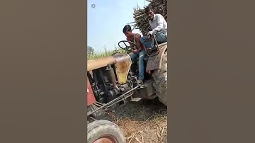 Pradeep Kumar Jaiswal and Ramu Jaiswal