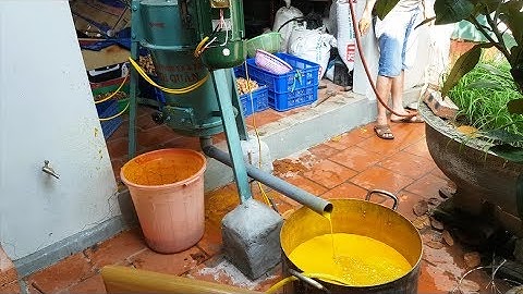 Máy Xay ép nghệ liên hoàn - Máy làm tinh bột nghệ Bình Quân