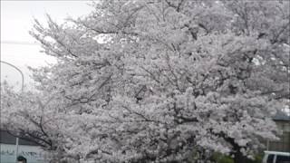 春の風 歌詞 熊木杏里 ふりがな付 歌詞検索サイト Utaten 春の風 歌詞 熊木杏里 ふりがな付 歌詞検索サイト Utaten