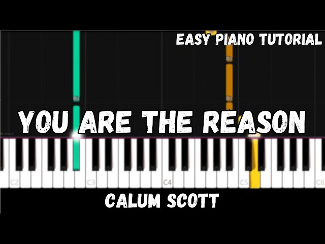 You Are The Reason - Calum Scott (Easy Piano Tutorial) class=