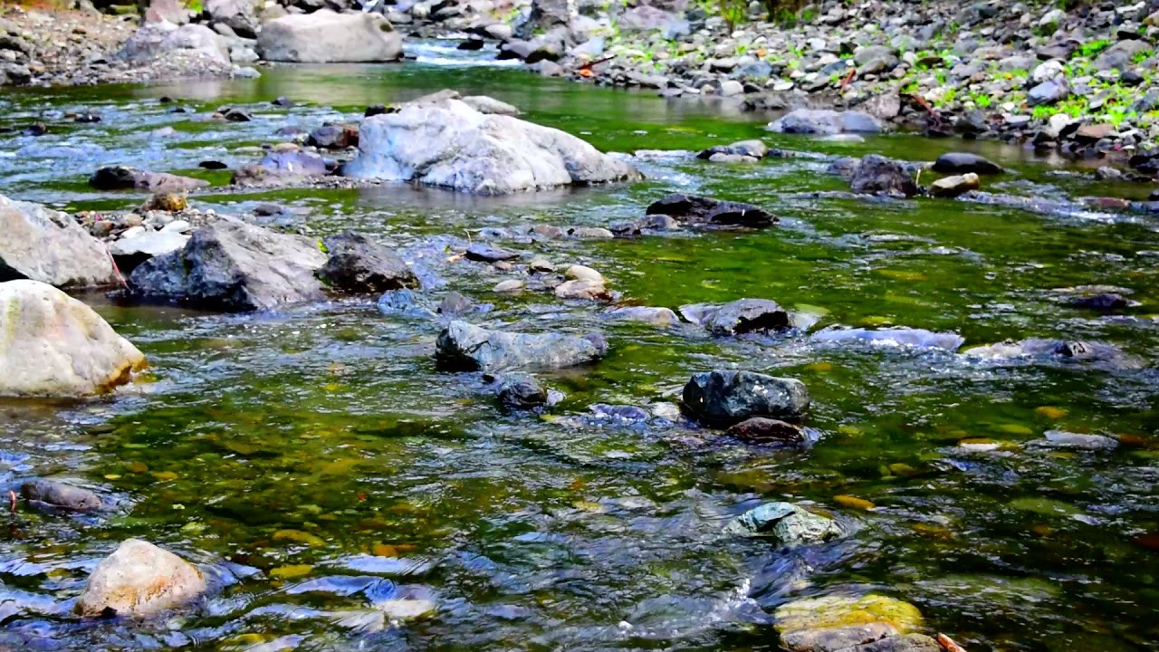 大柳川渓谷の流れ Youtube