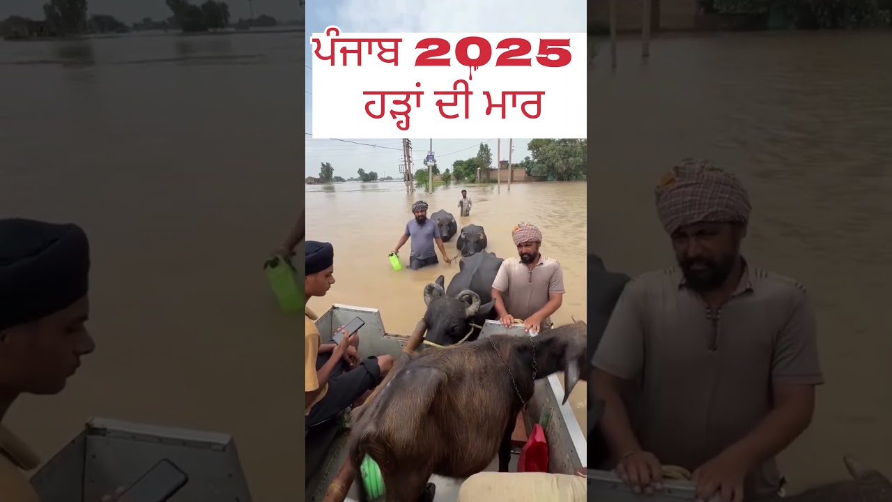 Iran And US Negotiation Security Alert In Pakistan Middle East Tension Breaking News - YouTube Auto PHP Script