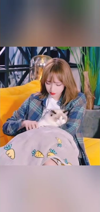 Cheng xiao and animals 🐈🦔#chengxiao #animals #cpop #fallingintoyoursmile #lietolove #cute 🧡🧡