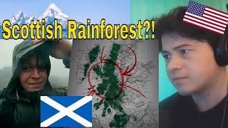 American Reacts Scotland's Forgotten Rainforest