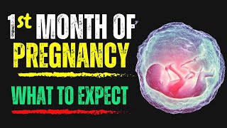 The Truth About Your First Month of Pregnancy: Expecting a Miracle