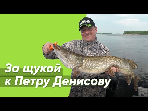 За щукой к Петру Денисову