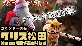 【'23年末犬猫アテレコ】家族でワイワイ!!クリス松田(Xmasだ)
