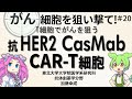 第２０回 抗体創薬学分野 研究成果紹介：抗HER2 CasMab CAR T細胞