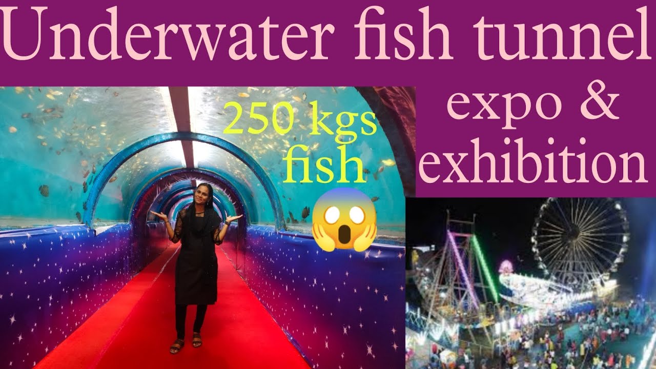 Underwater fish tunnel expo and exhibition in Vijayawada 2022 Vajra