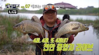 [월척수배25시 더 라이브] ep.07 때로는 마음을 비워야 / 천안 중형지의 대물 붕어들 / 4짜 붕어의 반란, 낮은 수심