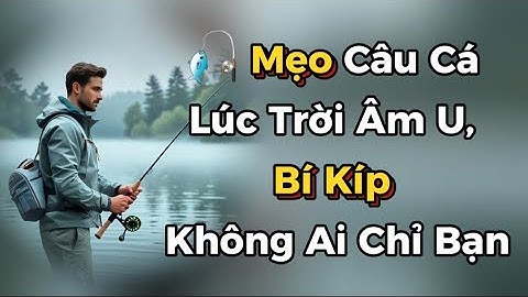 🎣 Mẹo Câu Cá Lúc Trời Âm U – Bí Kíp Không Ai Chỉ Bạn