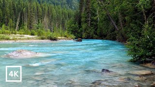 4K Enchanted Valley | Gentle Mountain River in BC Backcountry | Relaxing Nature Sounds | White Noise