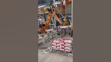 Hardworking Robotic Arms in Action! 🤖📦 #RobotPalletizer #CartonPackagingLine #IndustrialRobot