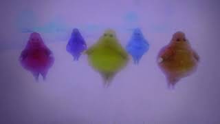 The Boohbahs Jump Side To Side To Piglets Poohetry Le Card Music