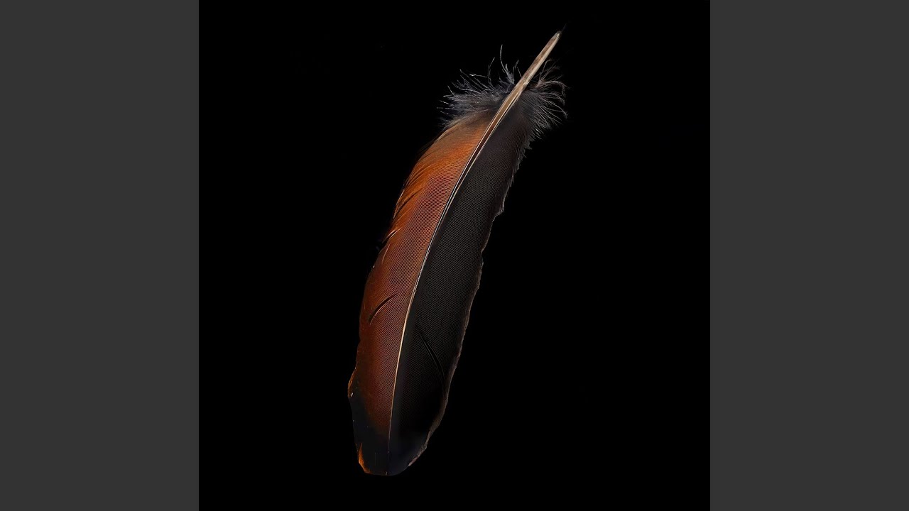 在 YouTube 上观看 No Is The Answer To This Madness 在 YouTube 上观看 No Is The Answer To This Madness