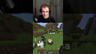 quel gatto non mi convince molto... #minecraft #shorts