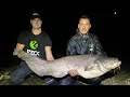Totul despre pescuit la somn plantat Zeck Fishing.Pescuit cu peste viu.Break Line Catfish.