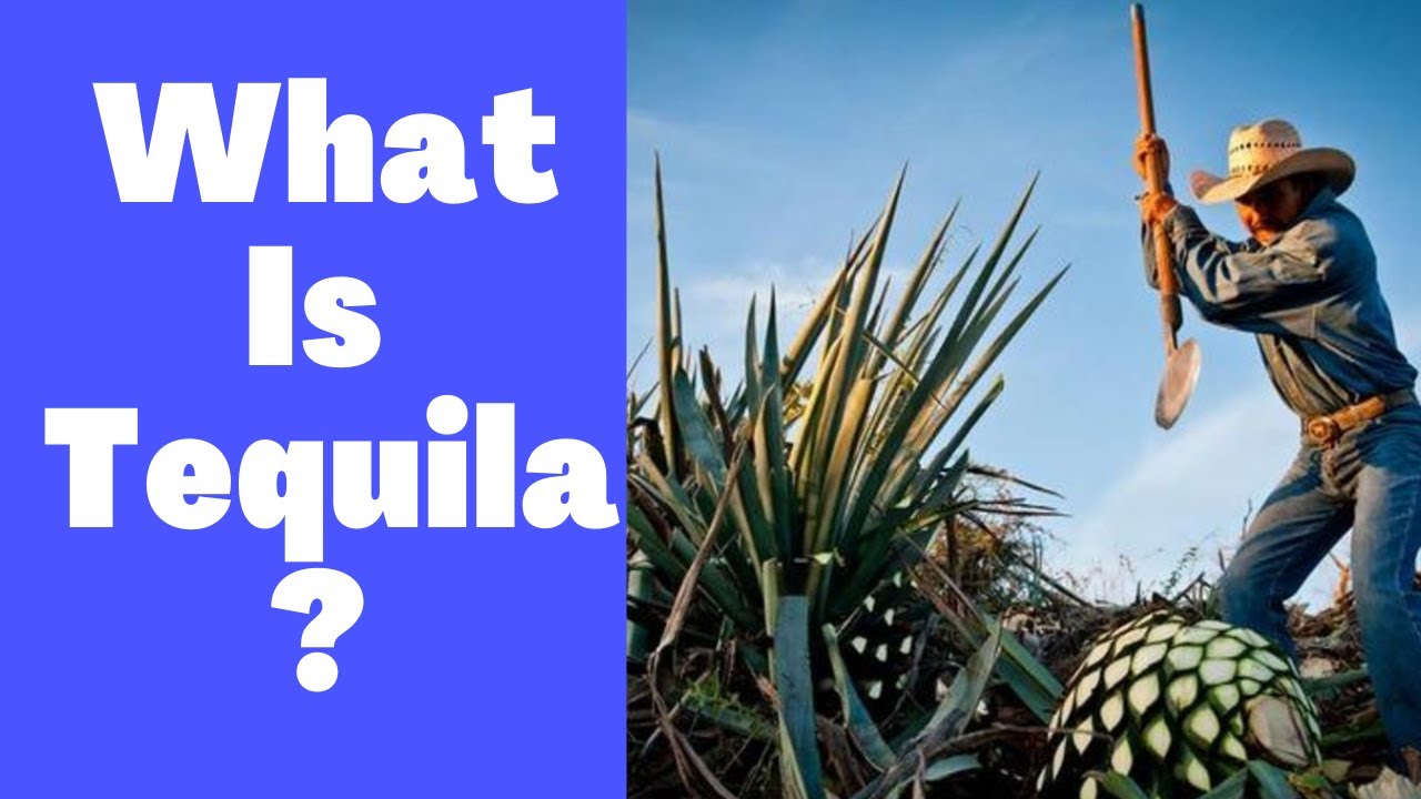 What Is Tequila?