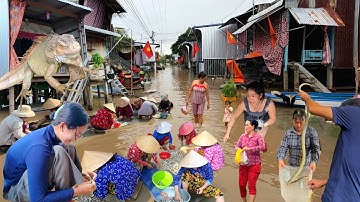 Mùa nước lũ tràn về biên giới Campuchia cả xóm ra đường lặc cá linh giá siêu rẻ chợ rắn cá