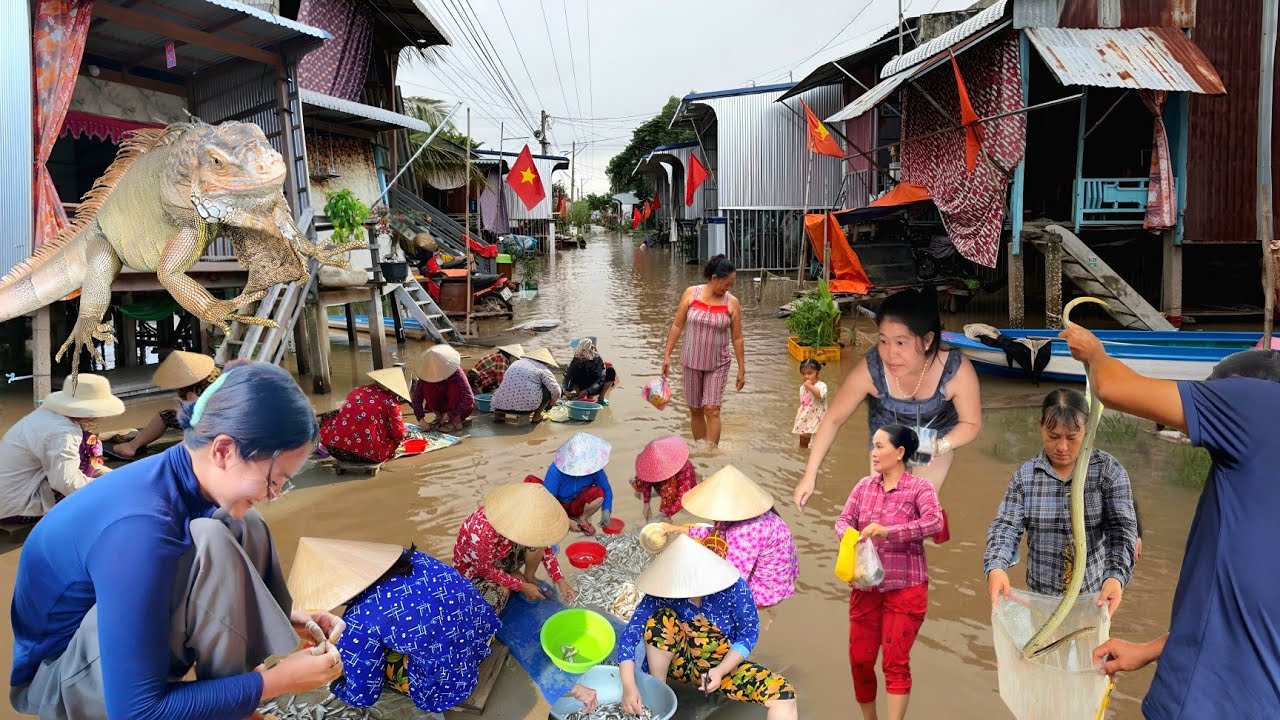 Mùa nước lũ tràn về biên giới Campuchia cả xóm ra đường lặc cá linh giá siêu rẻ chợ rắn cá