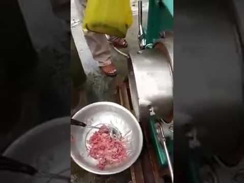 Máy ép xương cá thác lác, máy ép cá thác lác tự động CR300, 0909134877