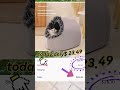 Pet Bed - Cozy Fabric Cave for Cats & Small Dogs with Removable Cushion