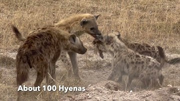 Personal Project Kenya Video Campaign (Donate Today at: https://www.classy.org/fundraiser/3641714)