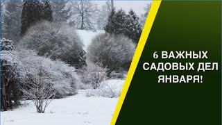 ЧТО НУЖНО СДЕЛАТЬ В САДУ В ЯНВАРЕ!