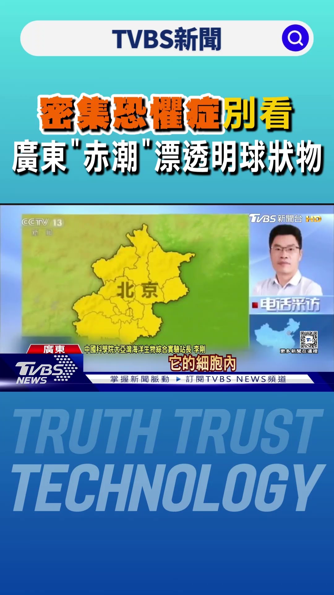 像爆爆珠又神似史萊姆!廣東沿海「謎樣物體」暴增 專家籲別下水｜TVBS新聞 @TVBSNEWS01