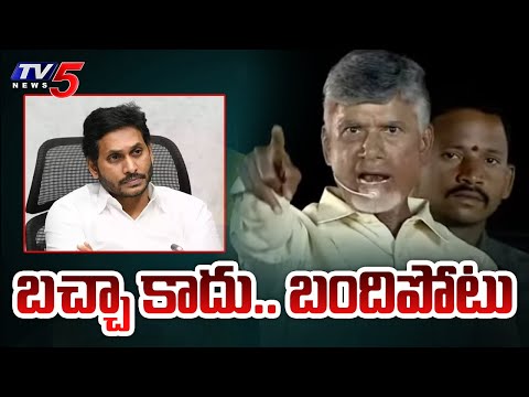 బచ్చా కాదు.. బందిపోటు Chandrababu Take Back on his Words over YS Jagan | Prajagalam Meeting | TV5 - TV5NEWS