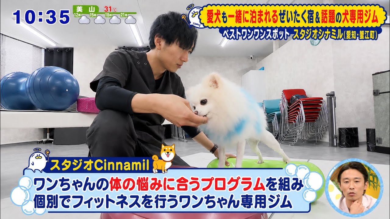 買*犬様 【新品】東京事変 娯楽 バラエティ 増刊号 初回生産限定アナログ盤 Chukyo TV [COMING!] August 21, 2026 Broadcast - YouTube
