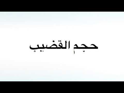 دكتورة فاجرة بتتحدث عن مص القضيب العضو الذكري وحجمه بدون حياء او خجل