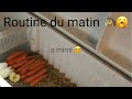 Routine du matin  a mimi 