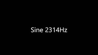 Sine 2314Hz Audio Only