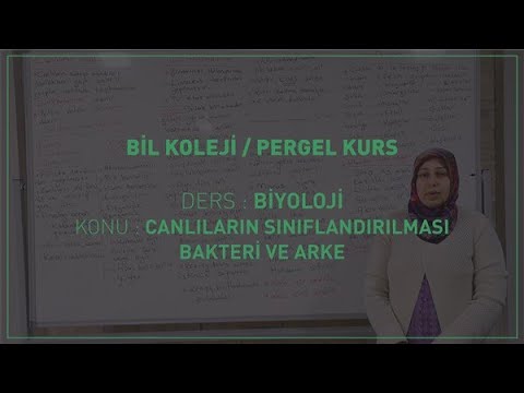 Video: Ortak kuşburnu: açıklama, sınıflandırma, kullanışlı özellikler ve fotoğraflar