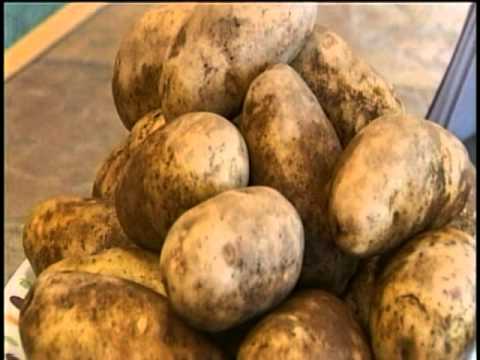It's strictly potatoes for Moses Lake man